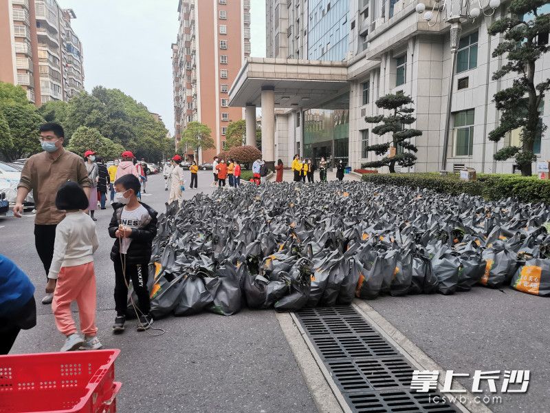 780份蔬菜包送到了湘林小區(qū)院內(nèi)。長沙晚報實習(xí)生 羅楊 攝